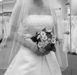 wedding dresses denver sample sale